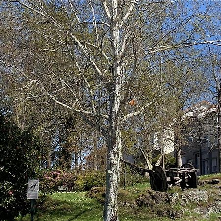 Campo De Estrellas Leilighet Santiago de Compostela Eksteriør bilde